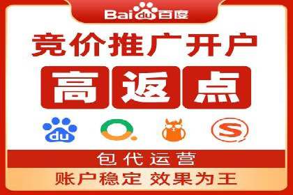百度竞价推广案例：品牌崛起之路